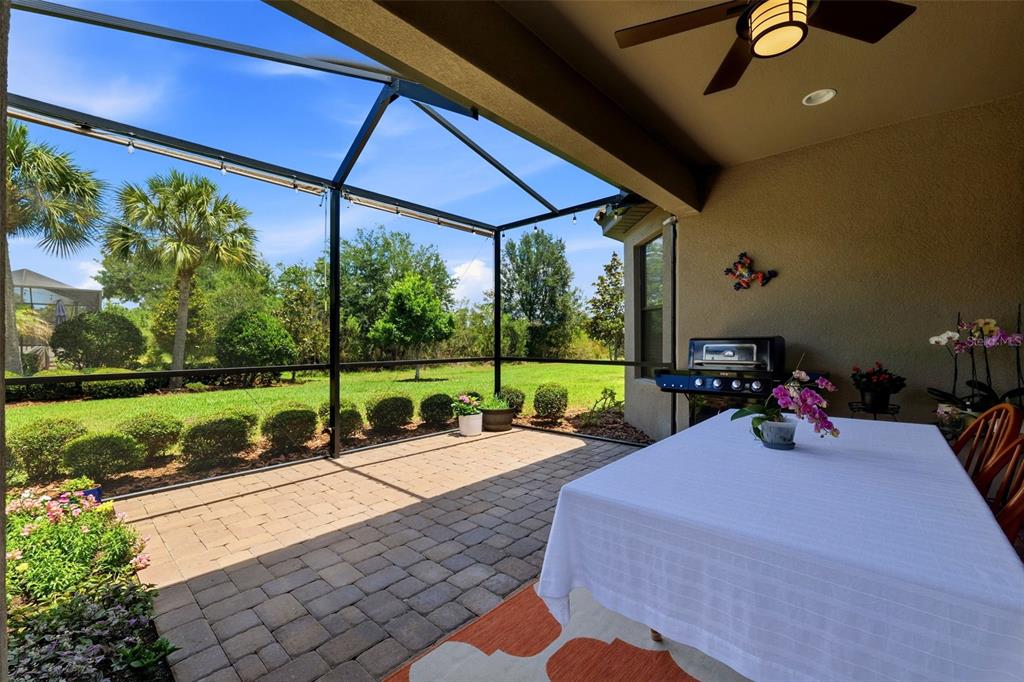 A covered patio with a paver floor, screened enclosure, dining table, and grill — 8412 ALBERATA VISTA DRIVE, TAMPA, FL