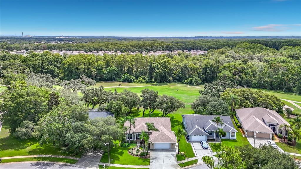An aerial view shows three suburban houses bordering a golf course and a dense forest — 13540 PLANTATION LAKE CIRCLE, HUDSON, FL
