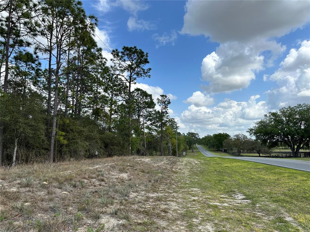 A grassy, sandy lot sits beside a paved road with trees and a cloudy sky — TBD SE 30TH STREET, MORRISTON, FL