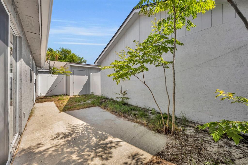 A concrete patio sits between a white house wall and a small storage shed — 331 SAN GABRIEL STREET, WINTER SPRINGS, FL