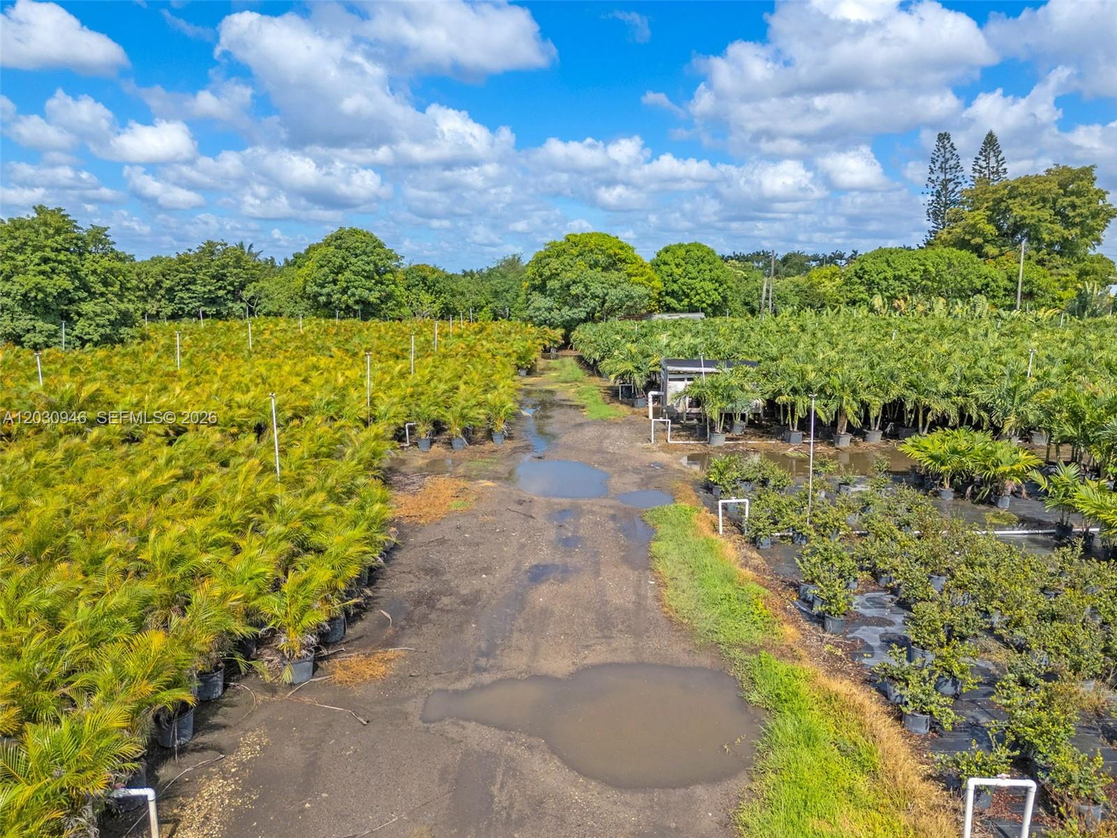 An aerial view shows a plant nursery with rows of potted palms and muddy paths — 208 st SW 198 av, Miami FL 33187, MIAMI, FL