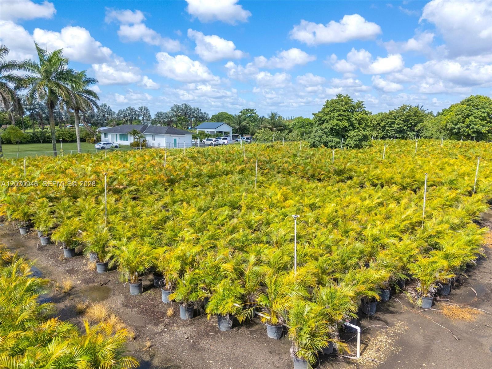 An aerial view shows a large nursery filled with rows of potted palm trees — 208 st SW 198 av, Miami FL 33187, MIAMI, FL