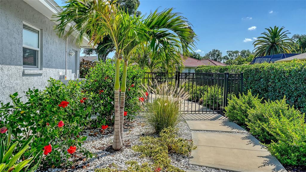 A paved walkway leads through a landscaped yard with a palm tree and metal gate — 6988 COUNTRY LAKES CIRCLE, SARASOTA, FL