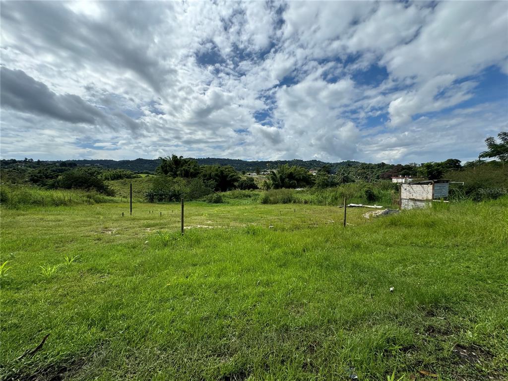 A grassy, fenced-in vacant lot with a small shed under a cloudy sky — VALENCIANO ARRIBA, JUNCOS, PR