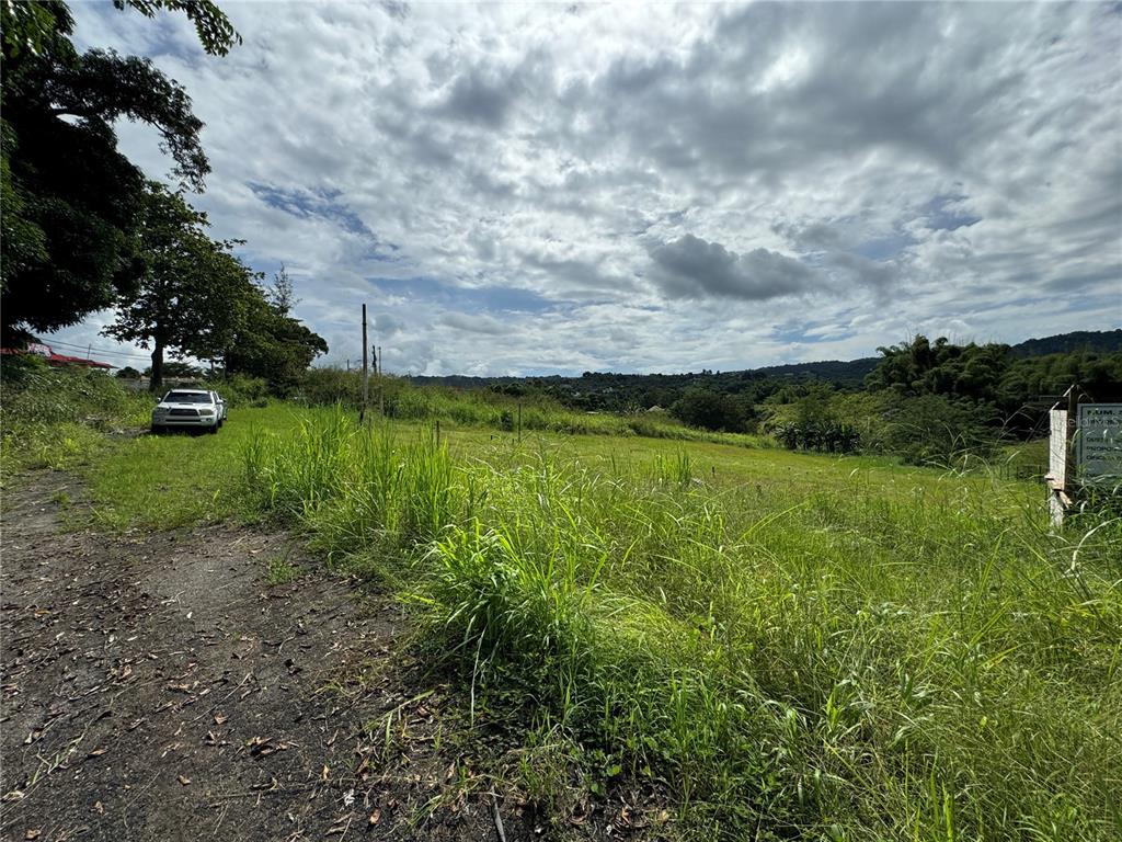 A grassy, undeveloped plot of land under a cloudy sky with a parked white vehicle — VALENCIANO ARRIBA, JUNCOS, PR