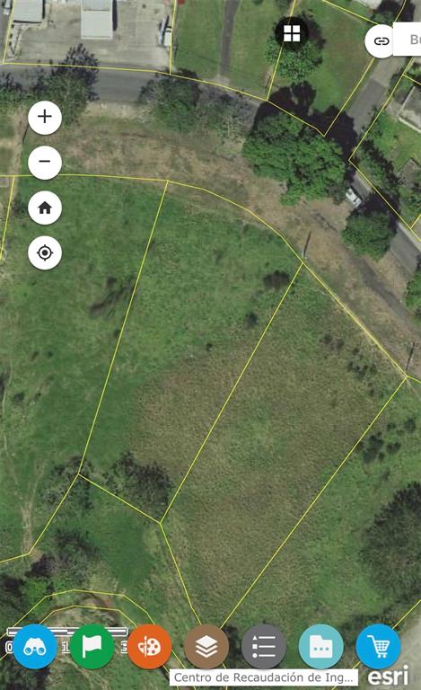 An aerial map view shows several vacant, grass-covered land parcels outlined in yellow — VALENCIANO ARRIBA, JUNCOS, PR