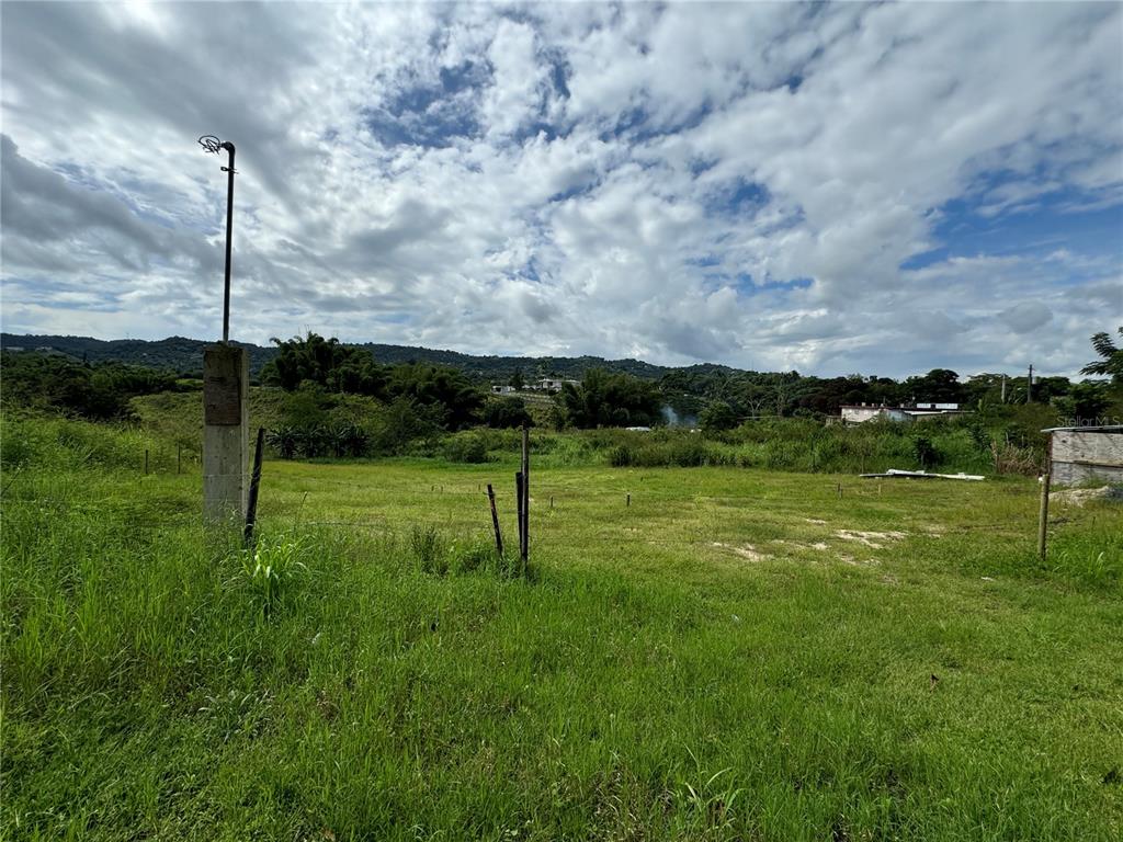 An open, grassy lot features a concrete utility pole and distant hills under a cloudy sky — VALENCIANO ARRIBA, JUNCOS, PR