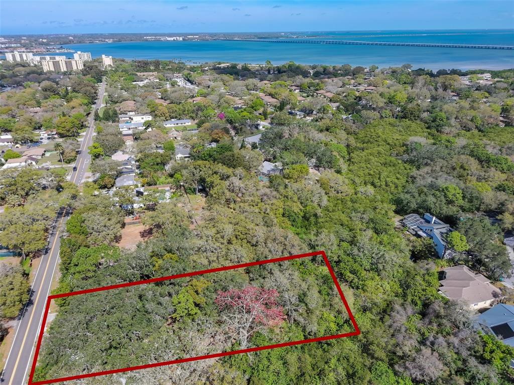 An aerial view shows a rectangular, tree-covered lot outlined in red next to a road — 1971 WOLFORD ROAD, CLEARWATER, FL