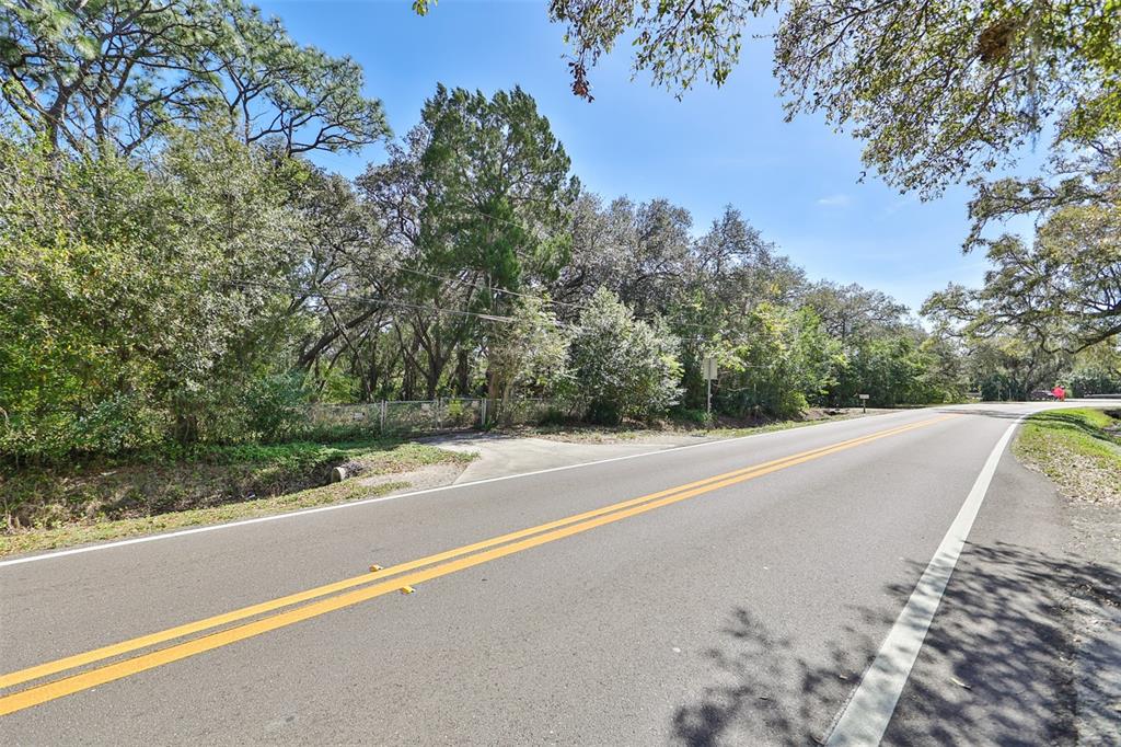 A paved road runs alongside a wooded lot with a chain-link fence — 1971 WOLFORD ROAD, CLEARWATER, FL