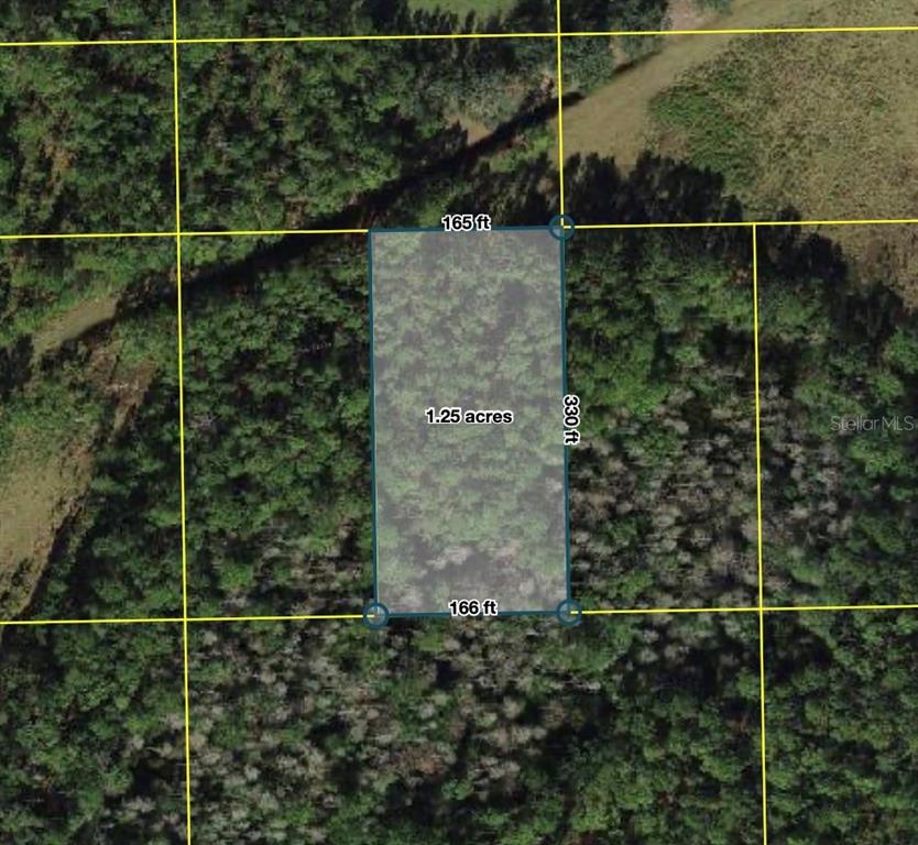 An aerial map shows a rectangular 1.25-acre plot of wooded land with labeled dimensions — POLK CITY, POLK CITY, FL