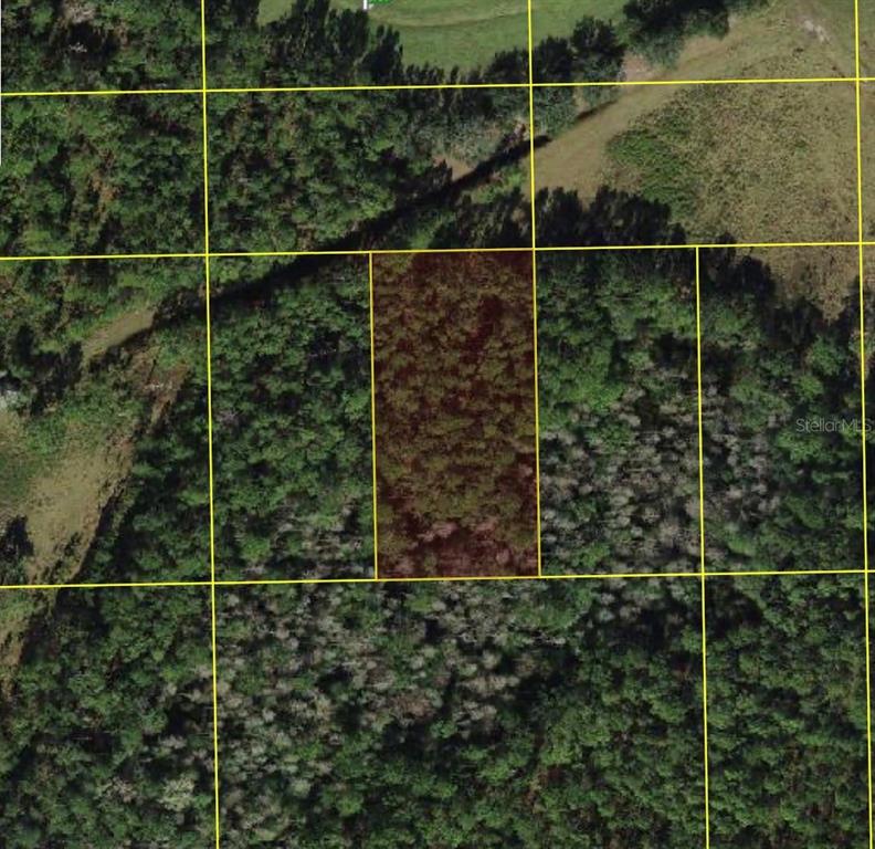 This aerial map shows a rectangular plot of land highlighted within a wooded area — POLK CITY, POLK CITY, FL