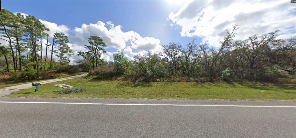 A vacant, wooded lot sits alongside a paved road with a single mailbox — COMMONWEALTH AVENUE N, POLK CITY, FL