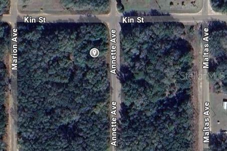 ANNETTE AVENUE, INTERLACHEN, FL — photo 2 of 5