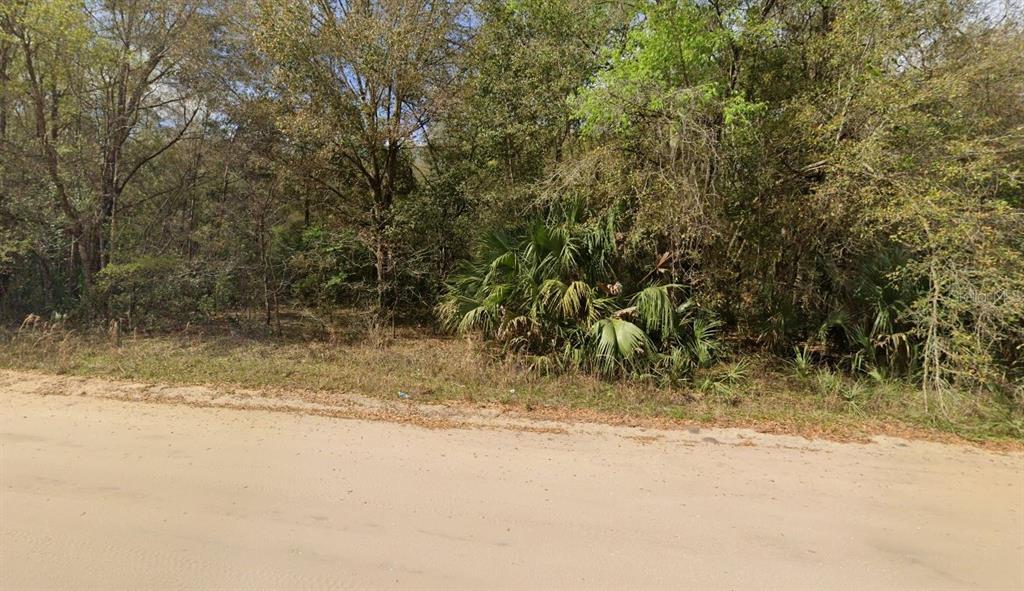 ANNETTE AVENUE, INTERLACHEN, FL — photo 3 of 5