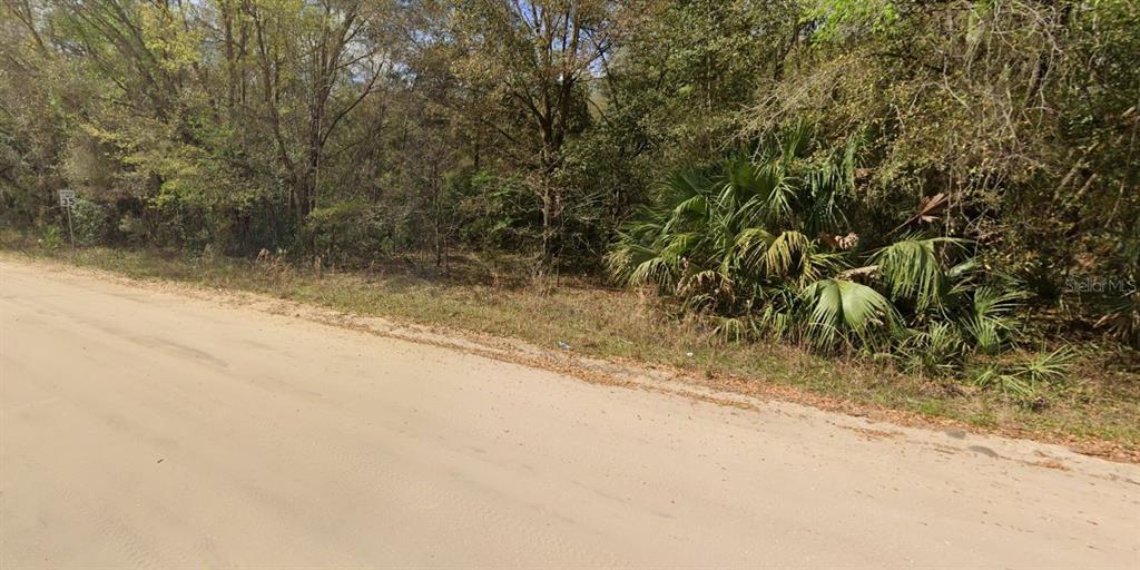 ANNETTE AVENUE, INTERLACHEN, FL — photo 4 of 5