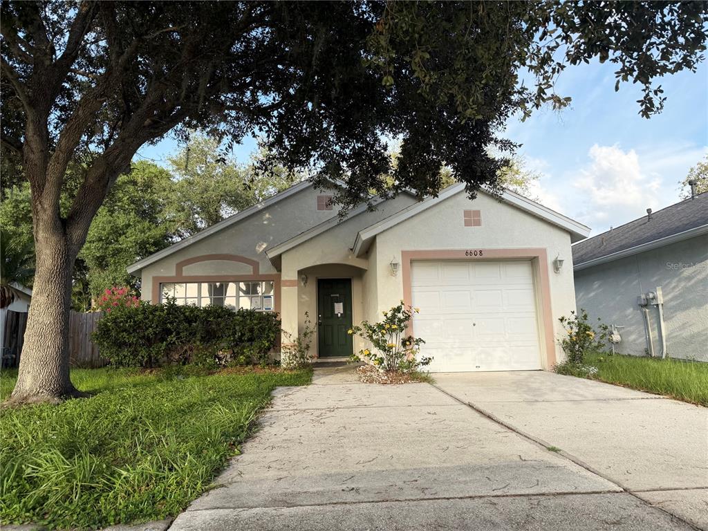 A single-story house with a white garage, green front door, and a large shade tree — 6608 NORTHHAVEN COURT, RIVERVIEW, FL