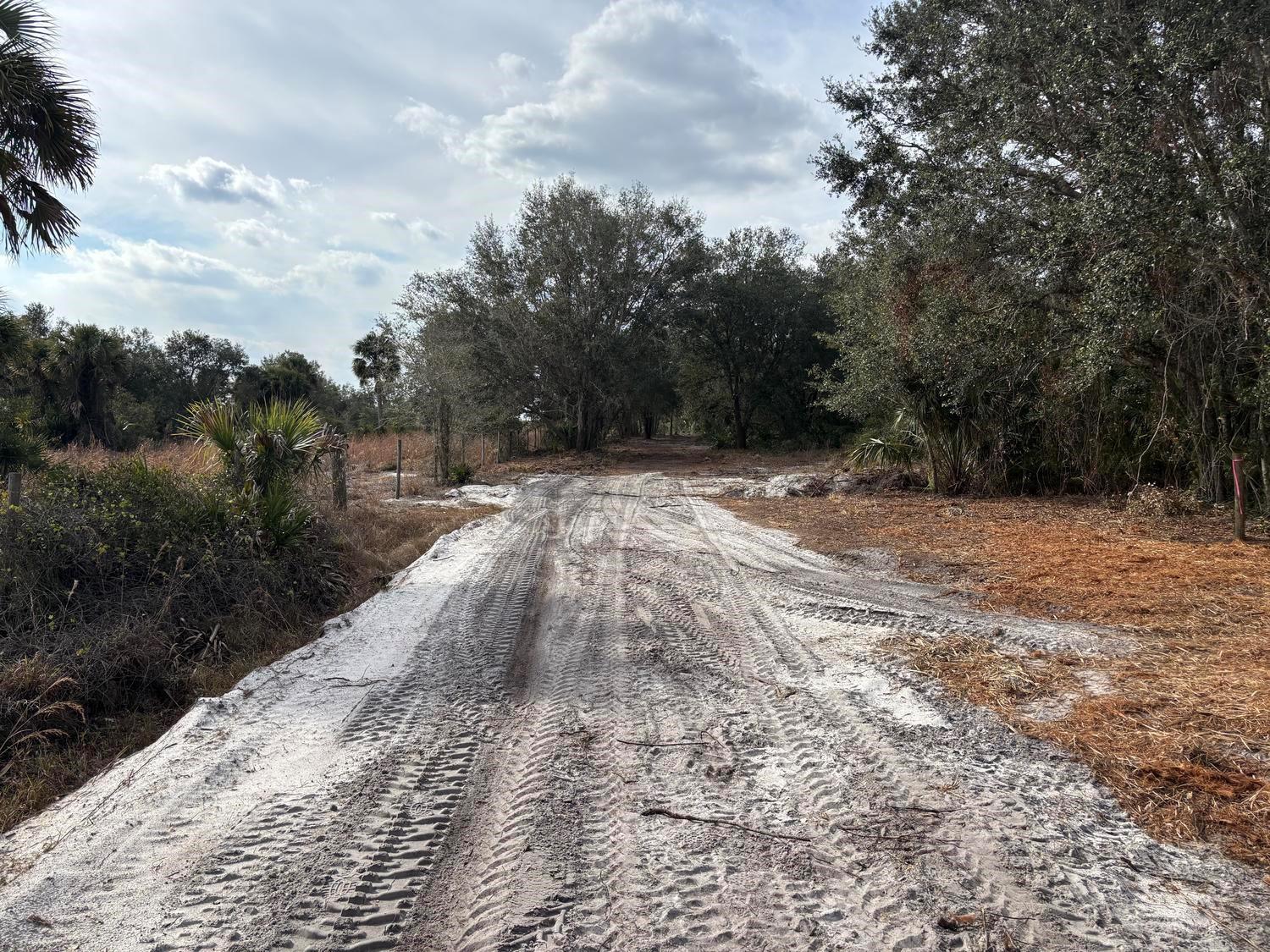 A dirt road with tire tracks leads through a wooded area under a cloudy sky — 0 NW 296th, Okeechobee FL 34972, OKEECHOBEE, FL