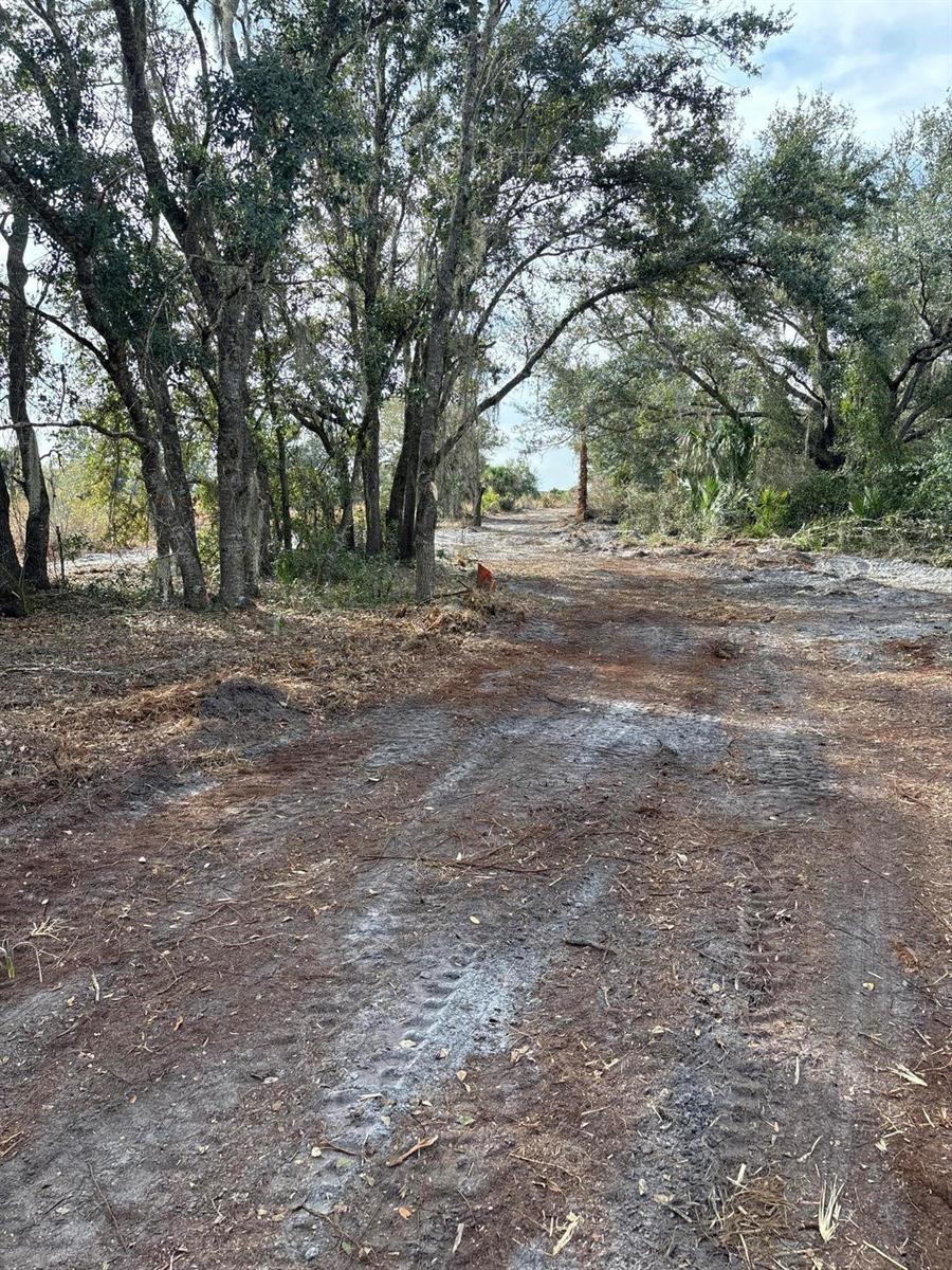 A dirt path winds through a wooded area with tire tracks and scattered debris — 0 NW 296th, Okeechobee FL 34972, OKEECHOBEE, FL