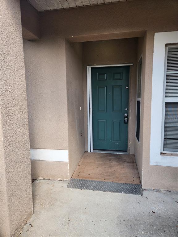 A green front door with a wooden ramp sits under a covered entryway — 13407 COPPER HEAD DRIVE, RIVERVIEW, FL