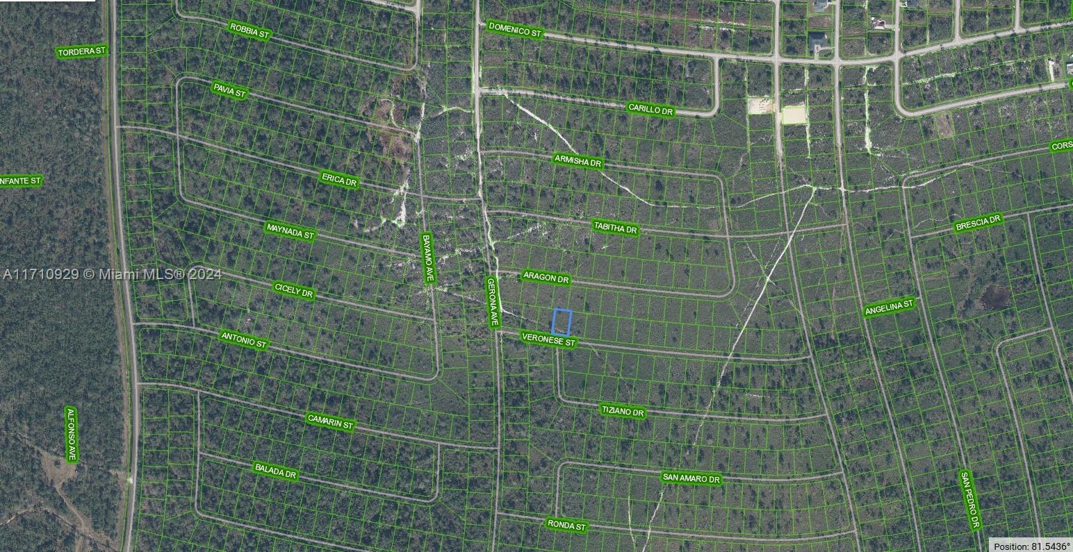 This is an aerial map showing a vacant residential lot highlighted in blue — 8136 Veronese Street, Sebring FL 33872, SEBRING, FL
