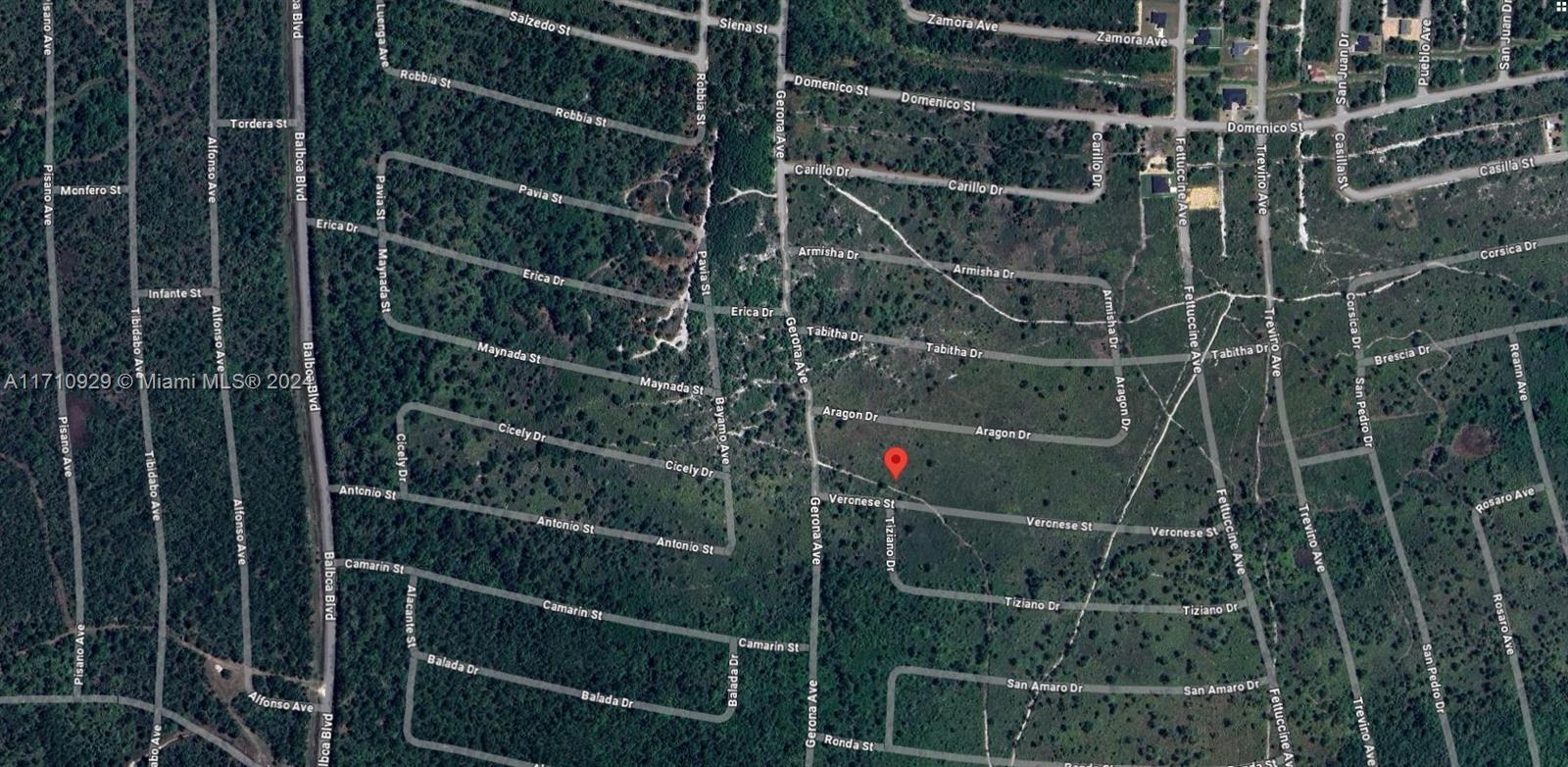 This is a satellite map showing a residential street grid in a wooded area — 8136 Veronese Street, Sebring FL 33872, SEBRING, FL