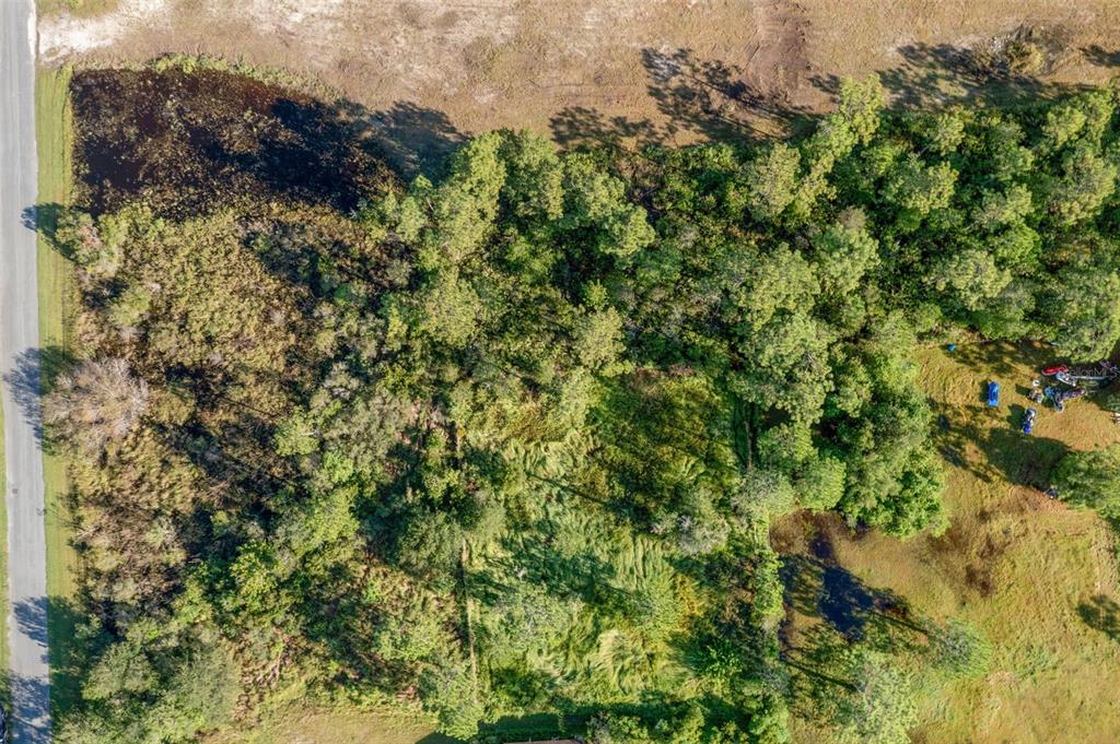 An aerial view shows a wooded lot with a small pond next to a road — BABBITT AVENUE, ORLANDO, FL