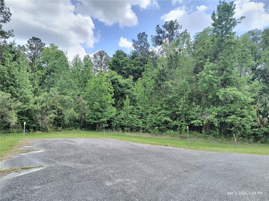 A paved driveway leads to a dense, wooded lot with several survey markers visible — 14095 NW 141ST AVENUE, WILLISTON, FL