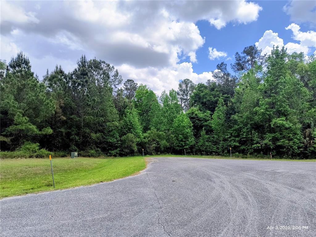 A paved cul-de-sac borders a grassy area and a dense forest of trees — 14095 NW 141ST AVENUE, WILLISTON, FL