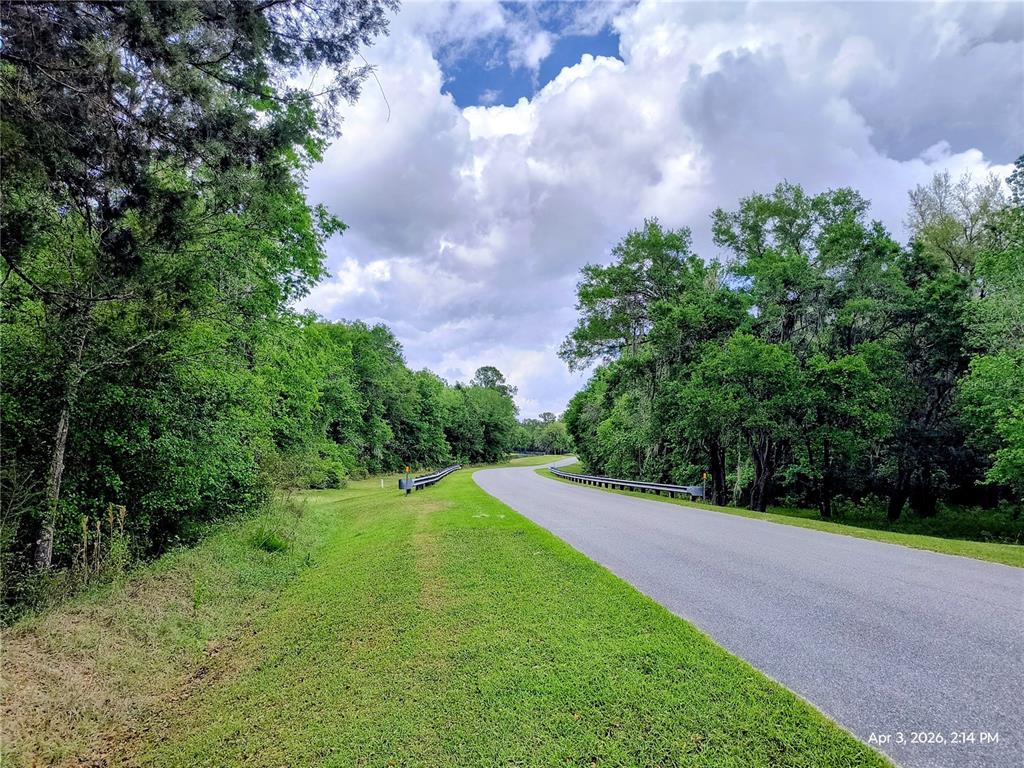 A paved road curves through a grassy area surrounded by dense green trees — 14095 NW 141ST AVENUE, WILLISTON, FL