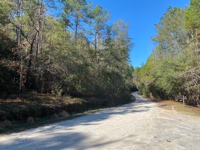 A dirt road winds through a dense forest under a clear blue sky — LOT 49 UNIT O&P, DEFUNIAK SPRINGS, FL