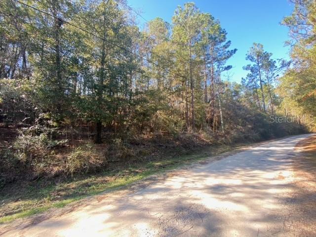 A dirt road runs alongside a wooded lot with tall pine and deciduous trees — LOT 49 UNIT O&P, DEFUNIAK SPRINGS, FL