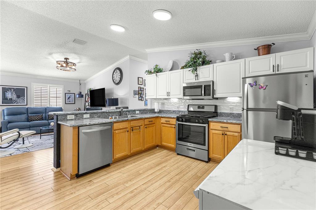 1660 ORR TERRACE, THE VILLAGES, FL — photo 3 of 30