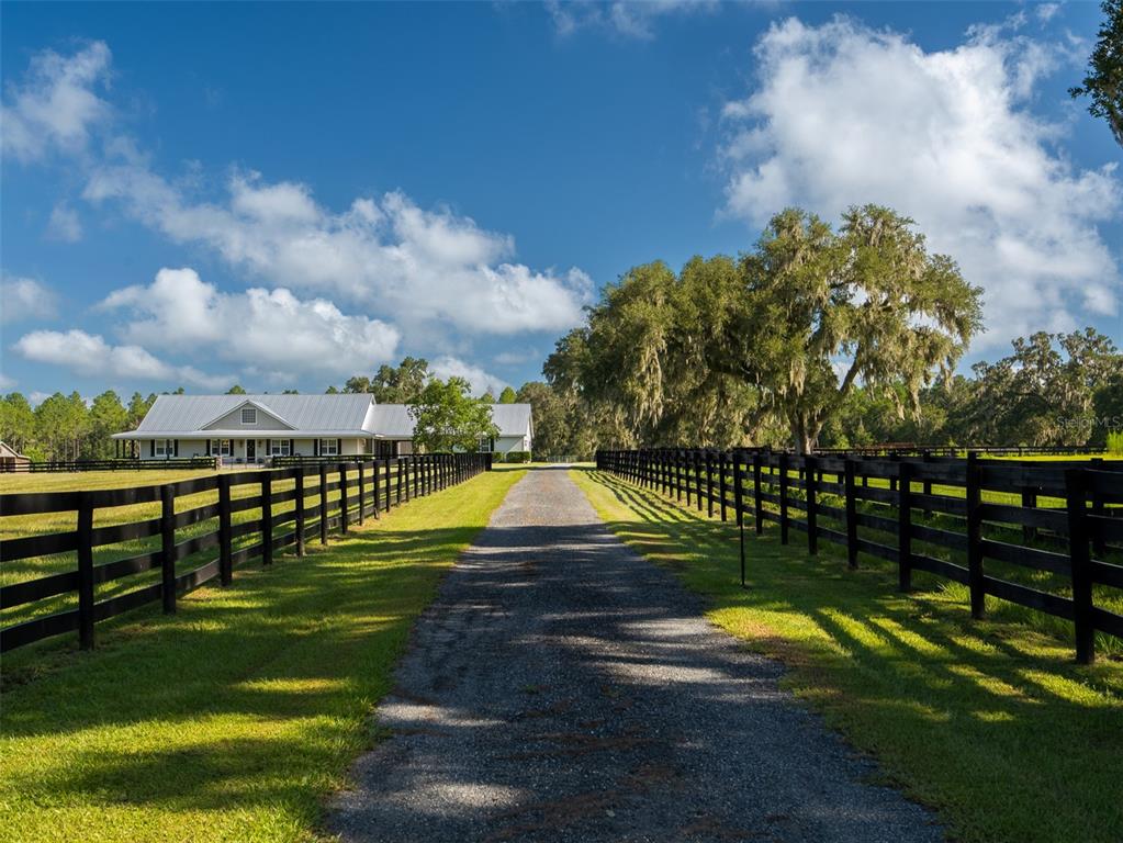 A gravel driveway leads to a white house flanked by black fences and large trees — 13211 NW 115TH STREET, OCALA, FL