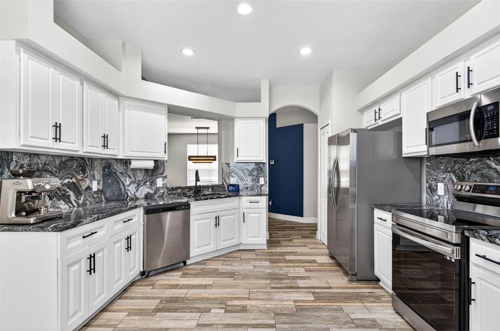 A kitchen features white cabinets, dark marble countertops, stainless steel appliances, and wood-look tile flooring — 10024 COLDWATER LOOP, LAND O LAKES, FL