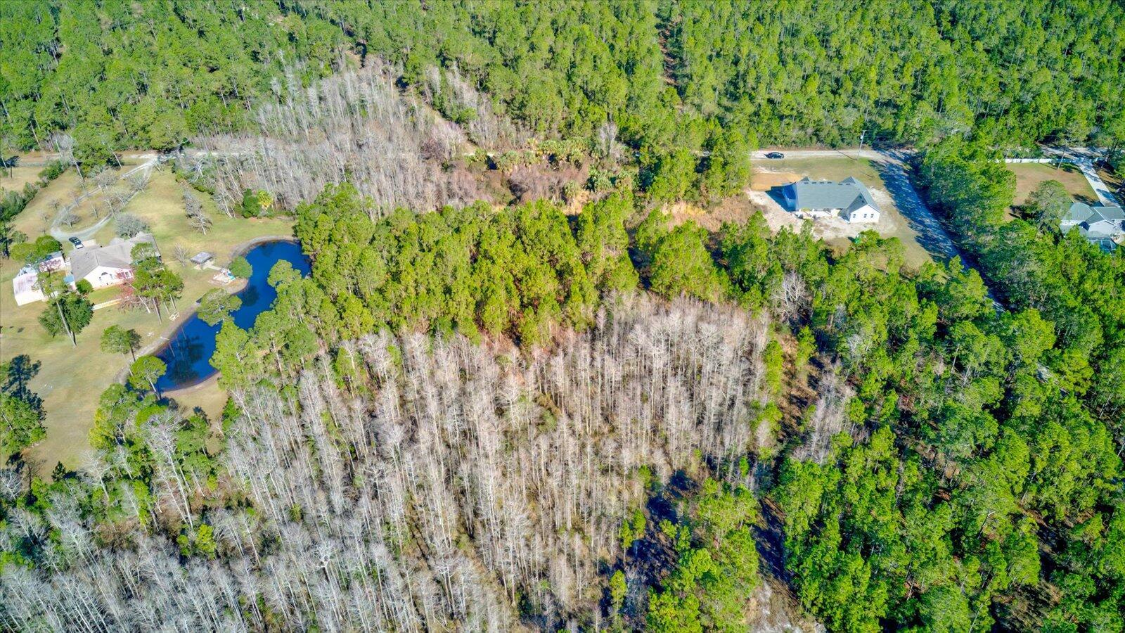 An aerial view shows a wooded lot with a pond and nearby residential houses — 0000 Rodeo Acres, Ormond Beach FL 32174, ORMOND BEACH, FL