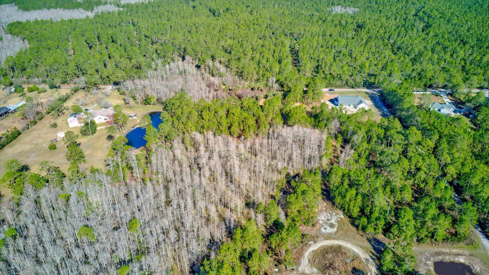 An aerial view shows a wooded lot with a small pond and nearby residential houses — 0000 Rodeo Acres, Ormond Beach FL 32174, ORMOND BEACH, FL
