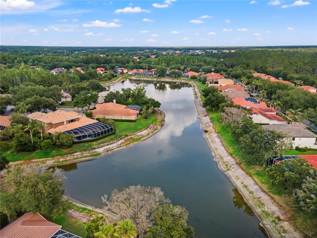 An aerial view shows a residential neighborhood with houses surrounding a central lake — 17861 ARBOR GREENE DRIVE, TAMPA, FL