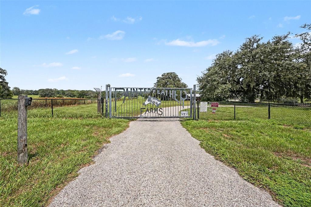 A paved driveway leads to a metal gate labeled Painted Feather Farms at a rural property — 36304 TOMKOW LANE, DADE CITY, FL