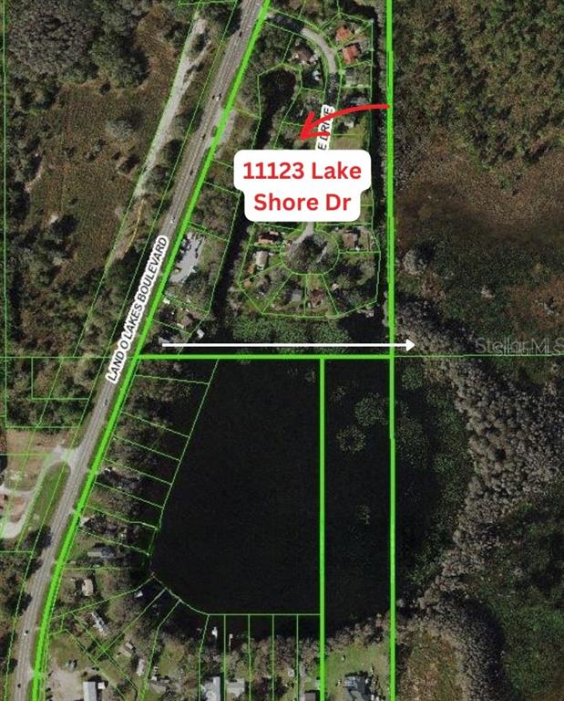 This aerial map shows a residential property lot outlined in green near a lake — 11123 LAKE SHORE DRIVE, LAND O LAKES, FL