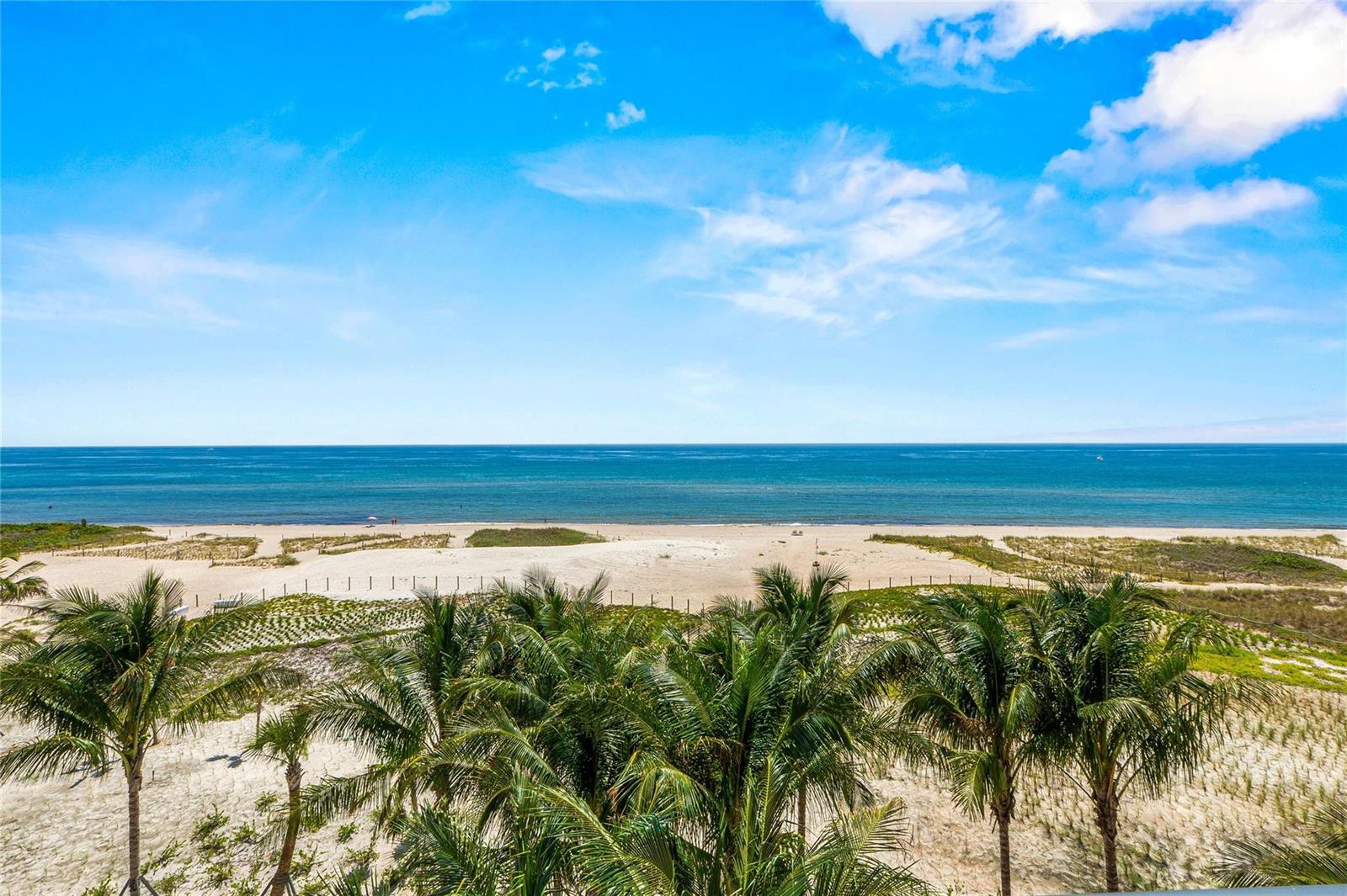 An elevated view of a sandy beach, palm trees, and the ocean under a blue sky — 900 N Ocean Boulevard # 504, Pompano Beach FL 33062, POMPANO BEACH, FL