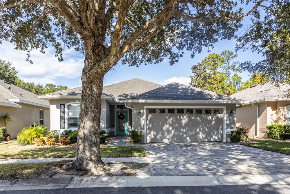 A single-story house with a gray exterior, a paved driveway, and a large tree in front — 150 W WATERSIDE PARKWAY, PALM COAST, FL