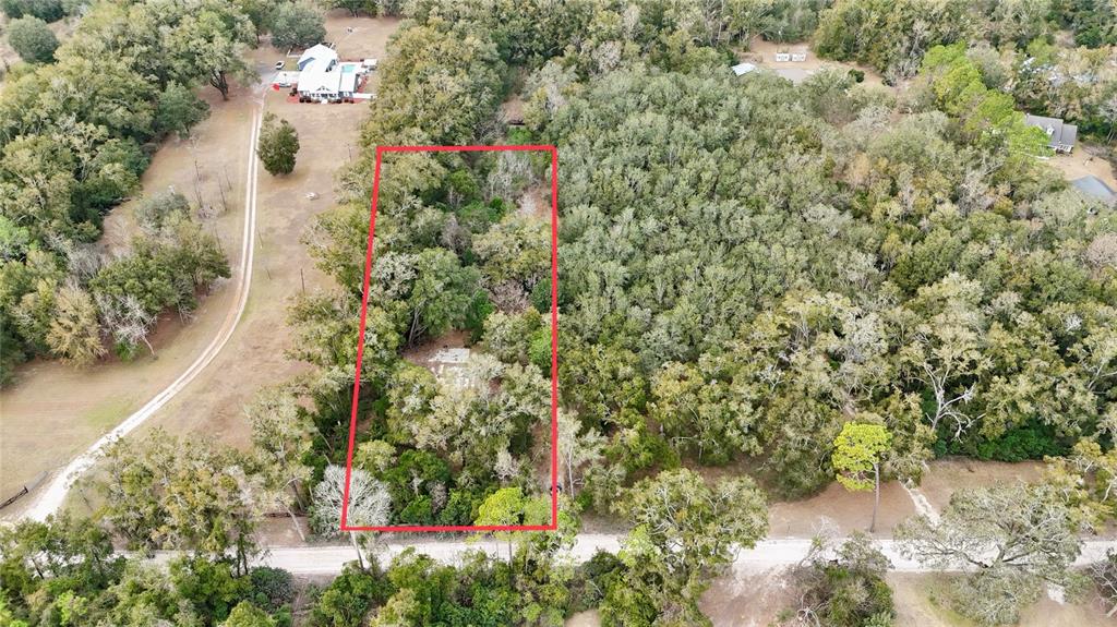 An aerial view shows a rectangular wooded lot outlined in red along a dirt road — 911 SW 5TH STREET, TRENTON, FL