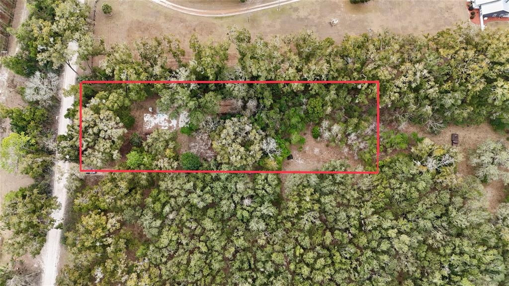 An aerial view shows a rectangular lot with trees and a small clearing — 911 SW 5TH STREET, TRENTON, FL