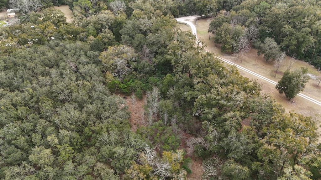 An aerial view shows a wooded lot with a dirt driveway winding through the trees — 911 SW 5TH STREET, TRENTON, FL