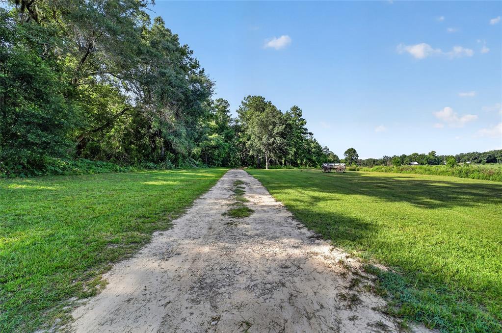 A dirt path leads through a grassy field toward a line of trees — 15020 W HIGHWAY 328, OCALA, FL