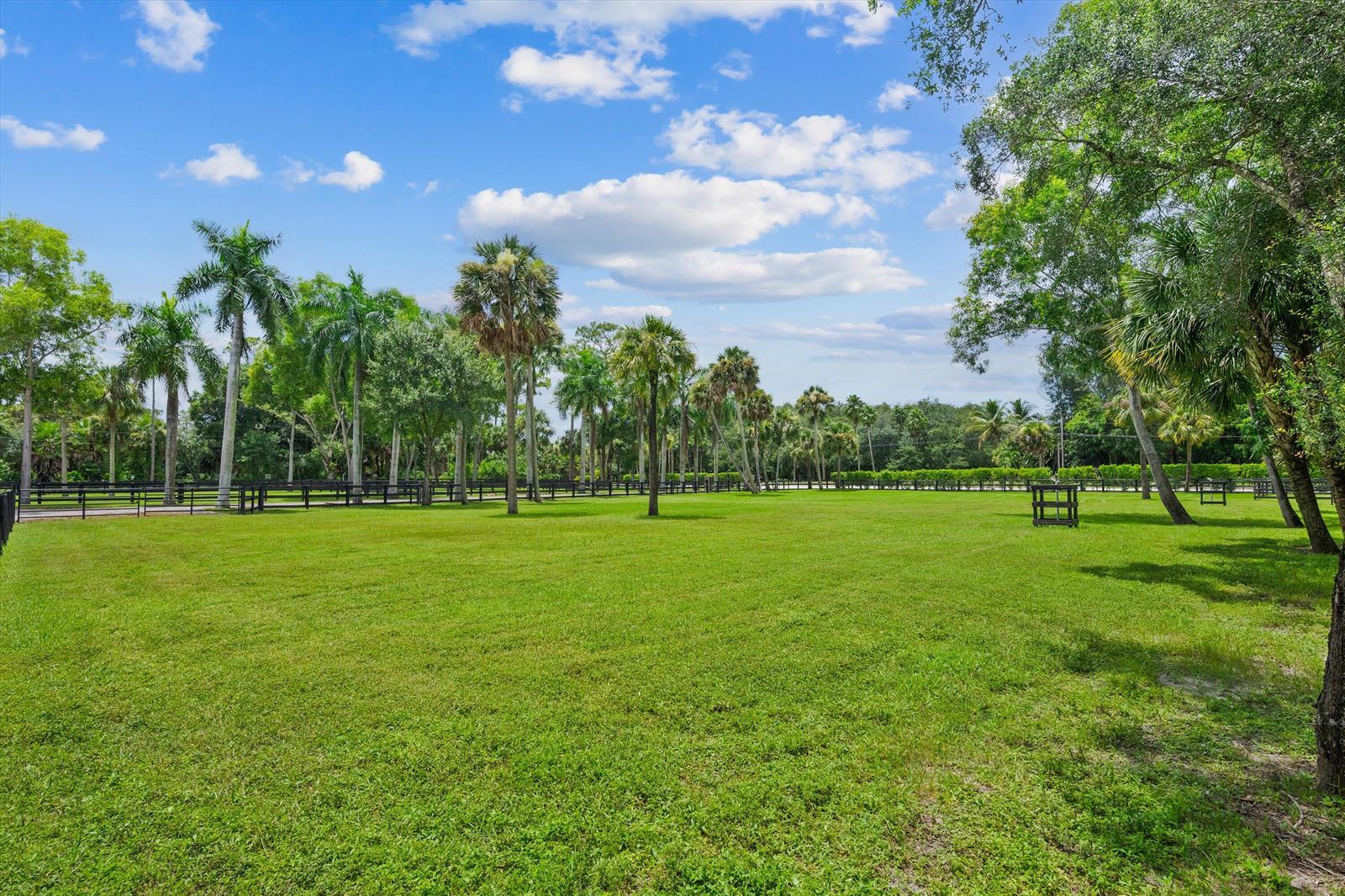 A large, grassy field is surrounded by palm trees and a black wooden fence — 3570 B Road, FL 33470, FL