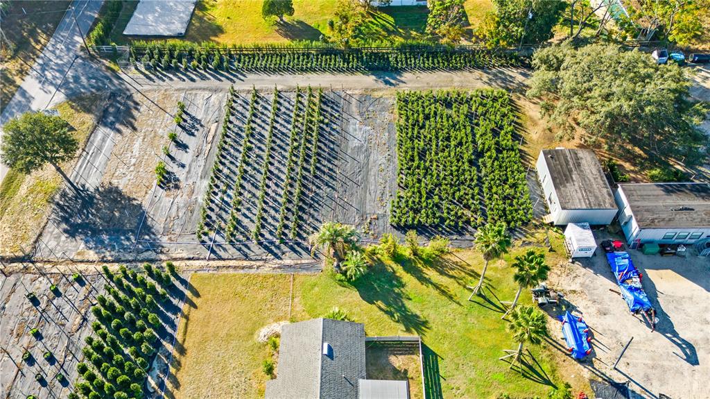 An aerial view shows a plant nursery with rows of trees and two small buildings — 4004 REX DRIVE, WINTER GARDEN, FL