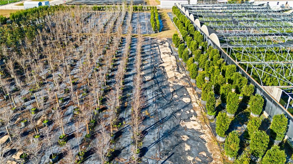 An aerial view shows rows of potted trees and shrubs at a commercial plant nursery — 4004 REX DRIVE, WINTER GARDEN, FL