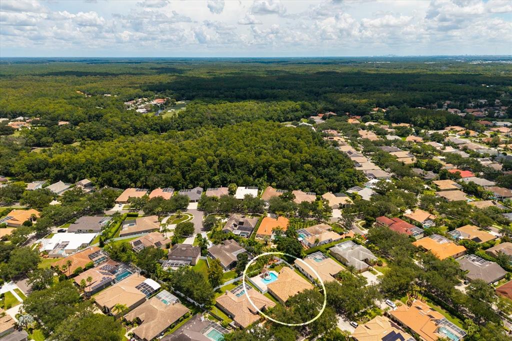 1723 CAPTIVA DRIVE, OLDSMAR, FL — photo 4 of 30