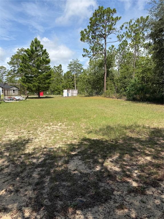 A grassy, sandy lot features a small shed and several tall pine trees — 6274 EMORY AVENUE, KEYSTONE HEIGHTS, FL